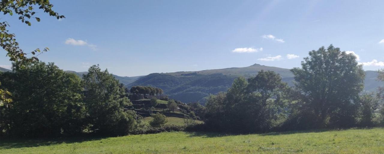 Maison D'Hotes La Grange Salers Dış mekan fotoğraf