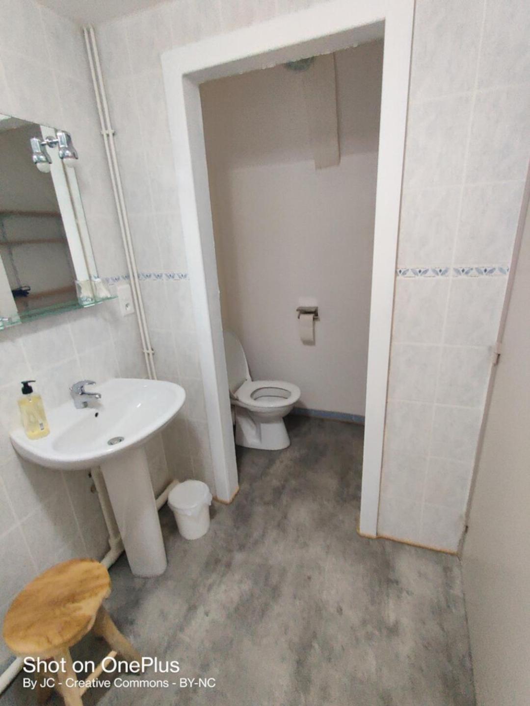 Maison D'Hotes La Grange Salers Dış mekan fotoğraf